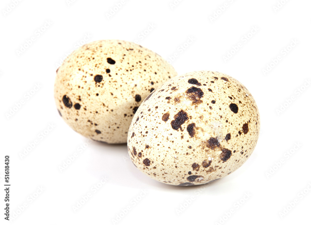 quail eggs isolated on white background quail eggs isolated on white background