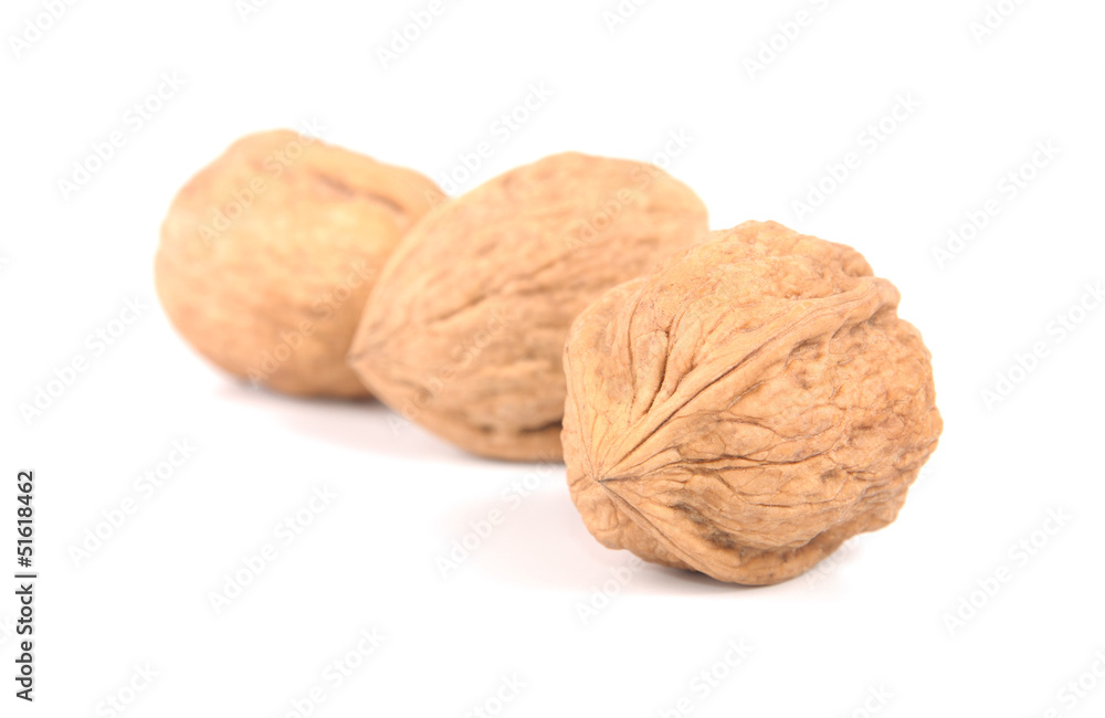 walnut isolated on white background walnut isolated on white background