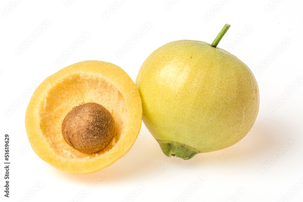 Fototapeta premium Syzygium jambos rose apple