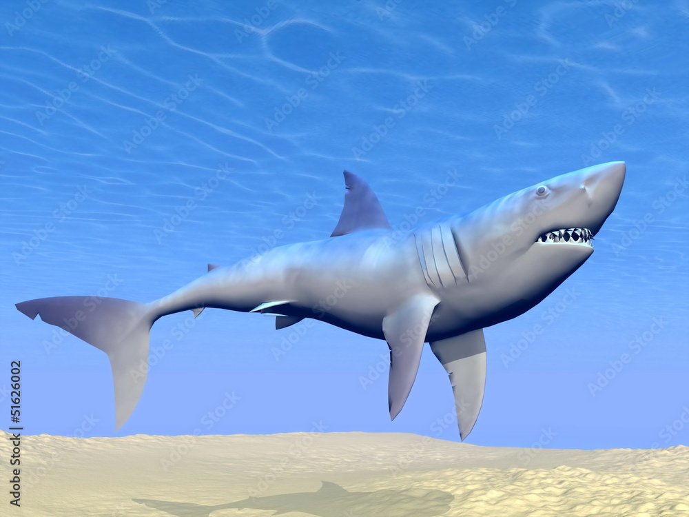Fototapeta premium Shark underwater - 3D render