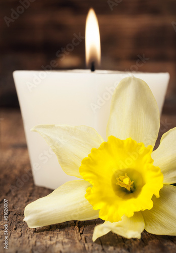 aromatic candle and narcissus close-up