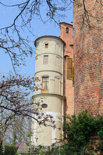 Castello di Pralormo (Torino) - XIII secolo photo