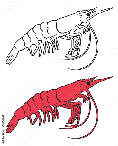 shrimp