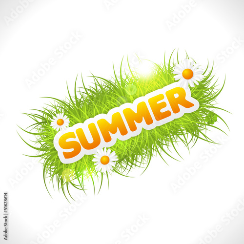 word summer with fresh green grass