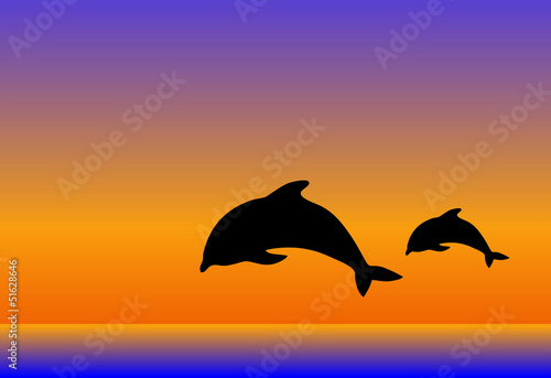 Dolphins Jumping © mikiradic