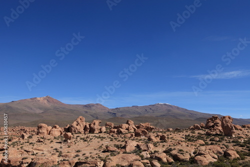 Boliviens Andenhochland photo