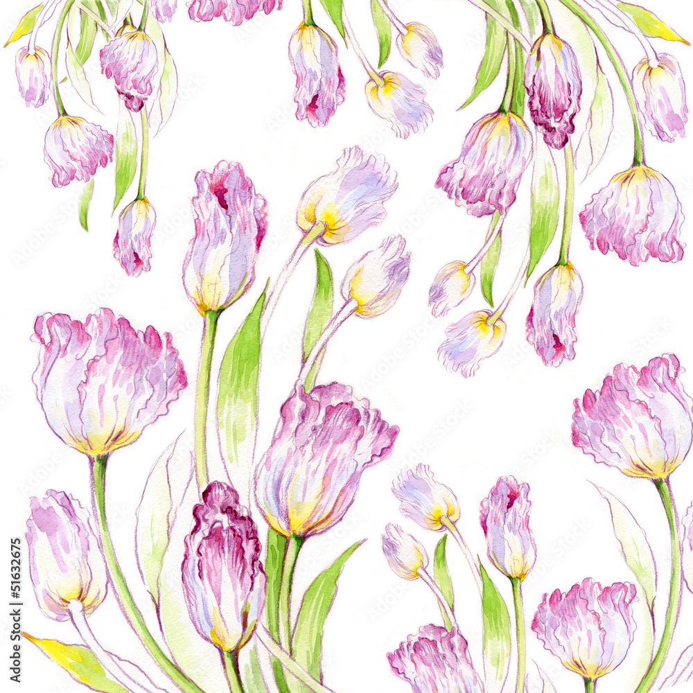 watercolor tulips watercolor tulips