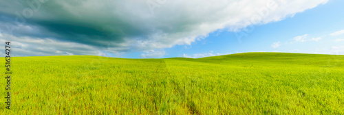Rural panoramic background, rolling hill. Tuscany, Italy.