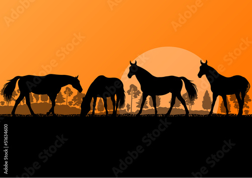 Countryside farm horses silhouettes in wild nature mountain fore © kstudija