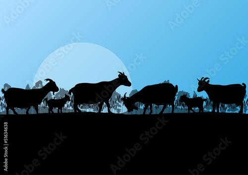 Countryside farm dairy goats herd in wild nature mountain forest