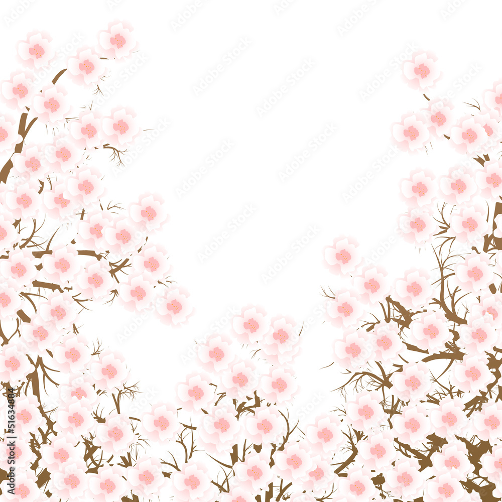 Cherry blossom branch vector background