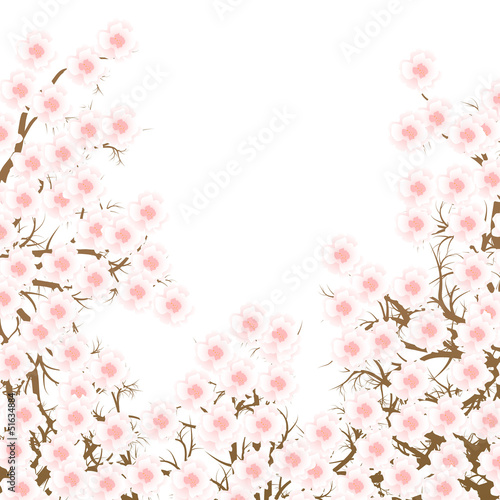 Cherry blossom branch vector background