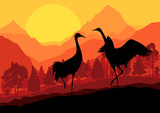 Crane couple in wild mountain nature landscape background illust