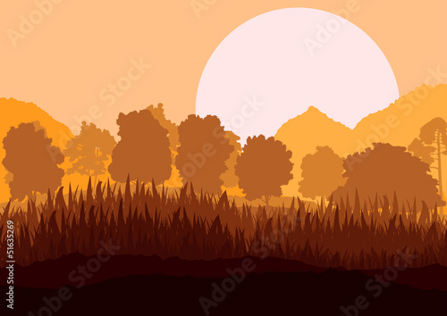 Wild mountain forest nature landscape scene background illustrat