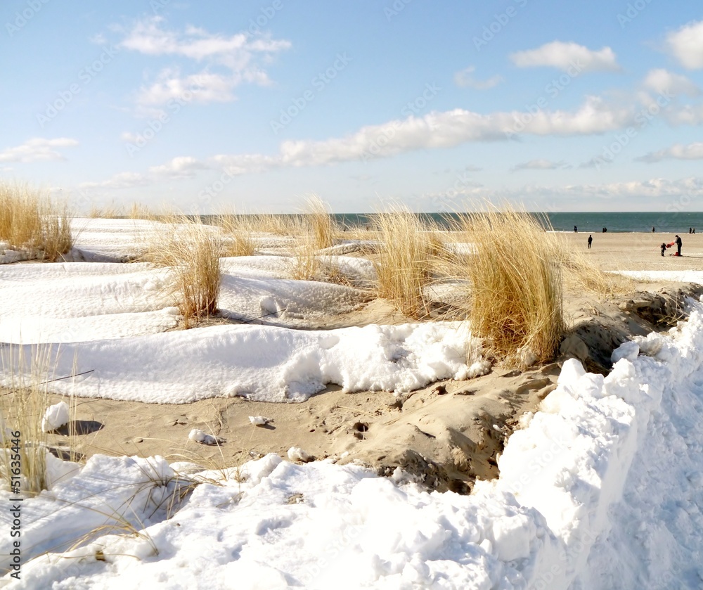 Fototapeta premium schneebedeckte Düne