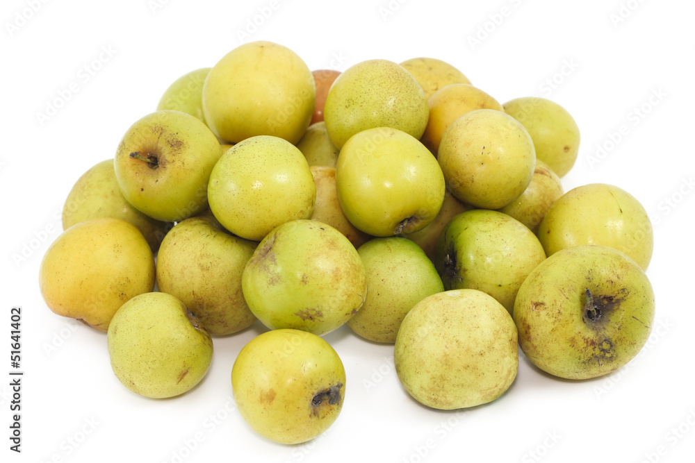 monkey apple fruit monkey apple fruit