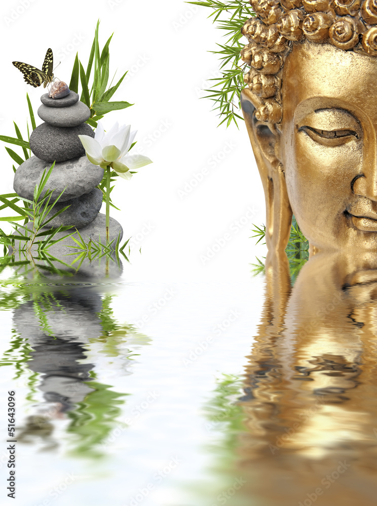 Naklejka premium reflets de Bouddha