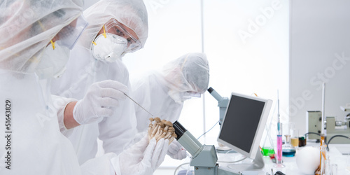 laboratory chemical experiment