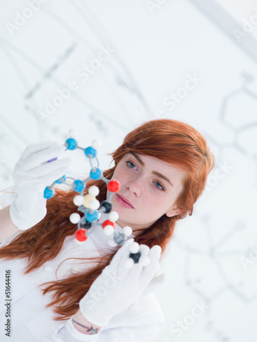student dmt molecular analysis