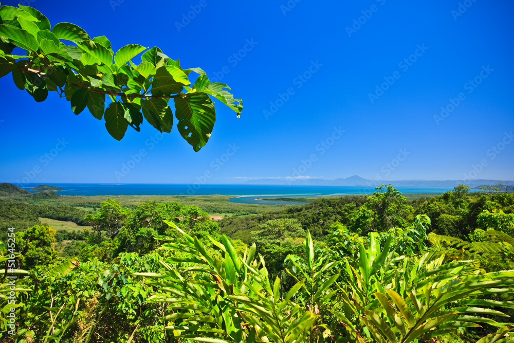 Tropical coastline
