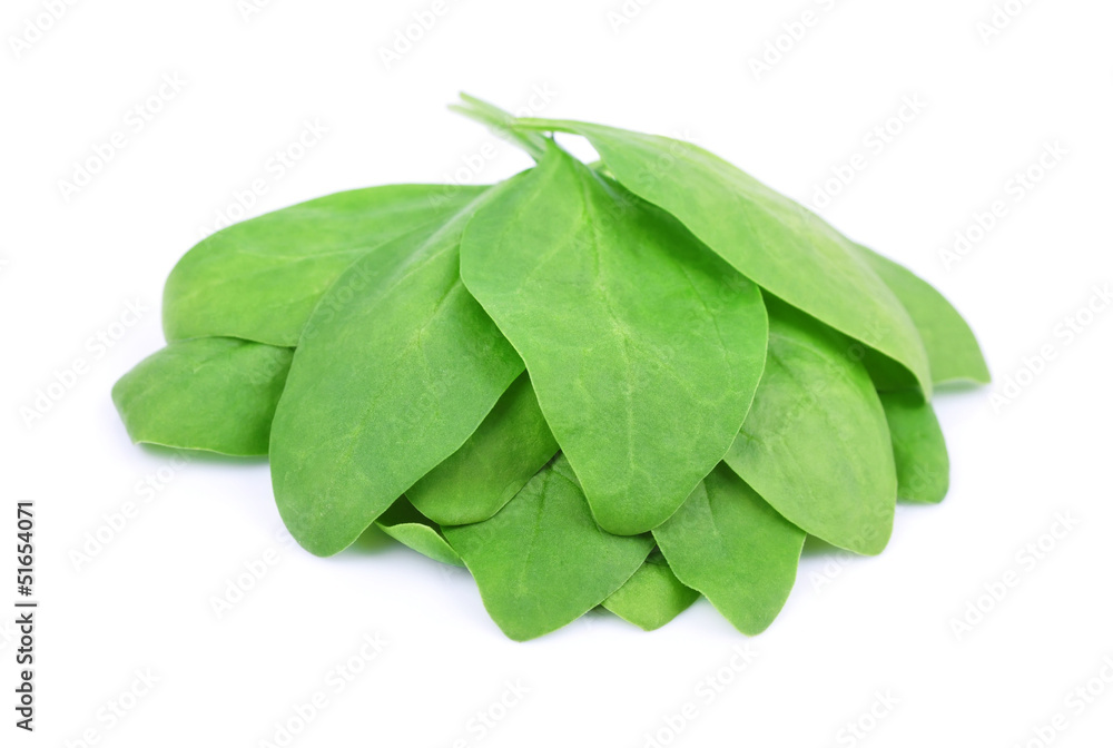 Fresh spinach Fresh spinach