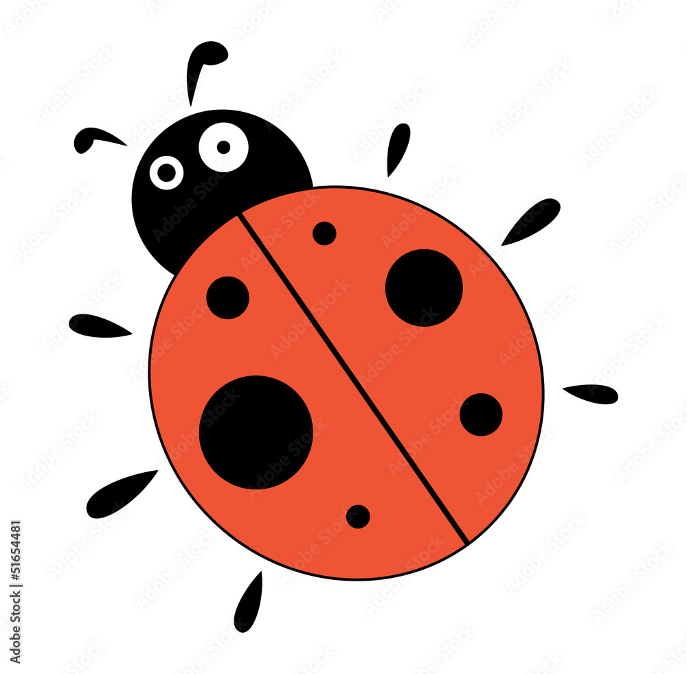 Fototapeta premium ladybug