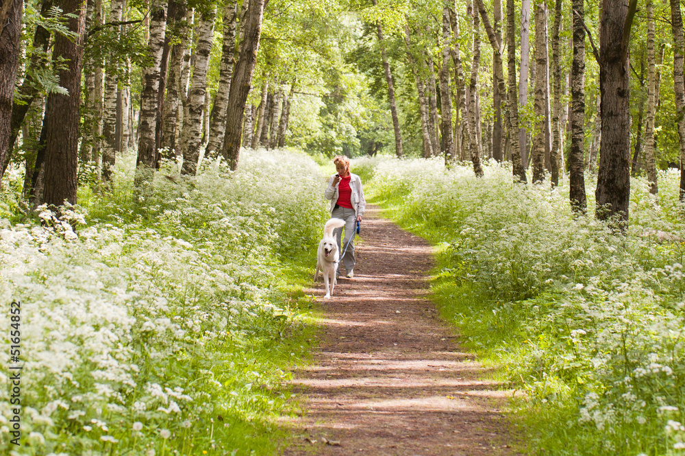 Fototapeta premium The woman walks with a dog in a wood