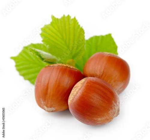 filbert nuts with green leaf