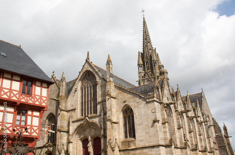 Fototapeta premium Basilique notre dame du roncier et la place notre dame