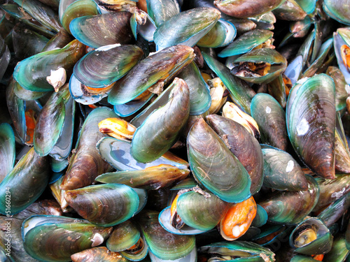Boiled sea mussel.