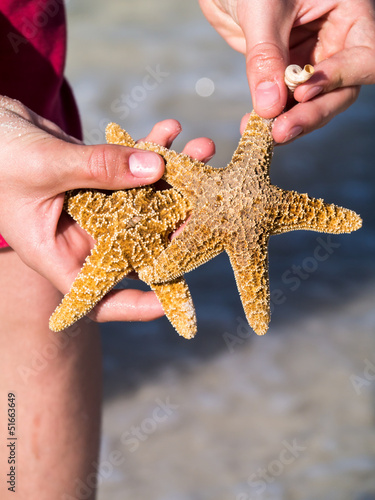 Beachcomer with starfish and shells