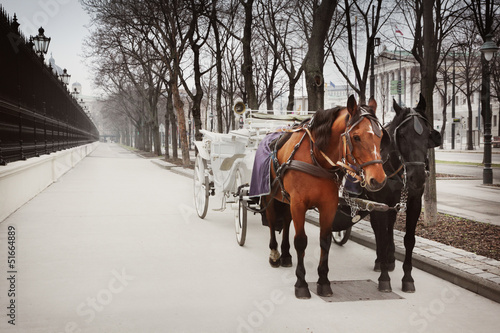 Photography Coach in Vienna
