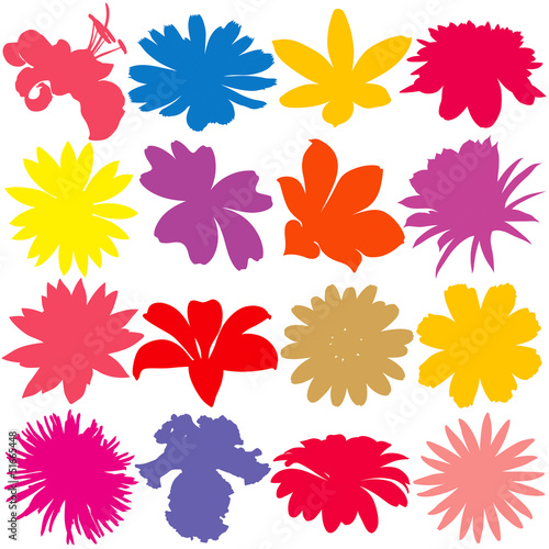 Fototapeta Naklejka Na Ścianę i Meble -  Flower silhouette set