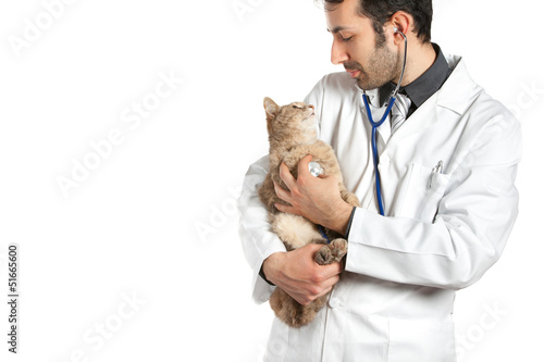 veterinario photo