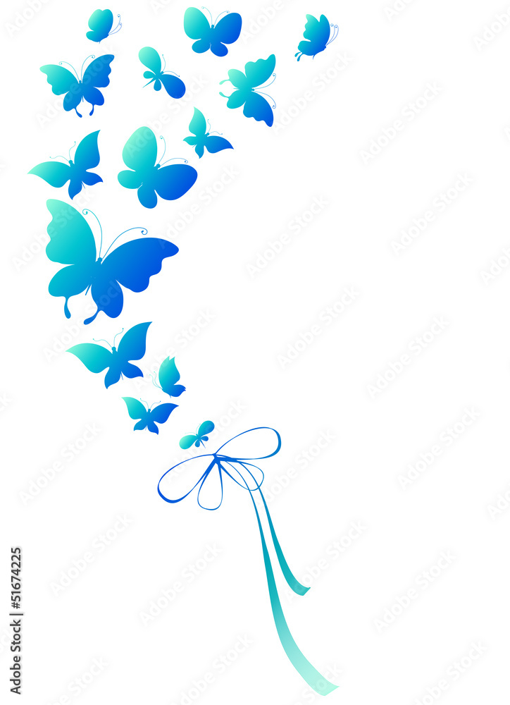 Fototapeta premium butterfly,butterflies