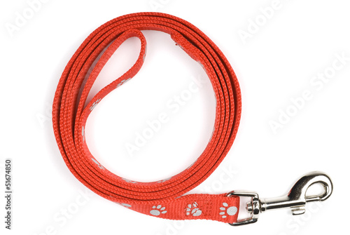 Red dog lead or leash with paw pattern with shadow on white.