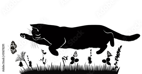 pet cat catches butterflies in the meadow