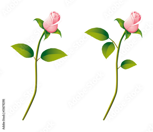 Detailed vector rose flower in cartoon style
