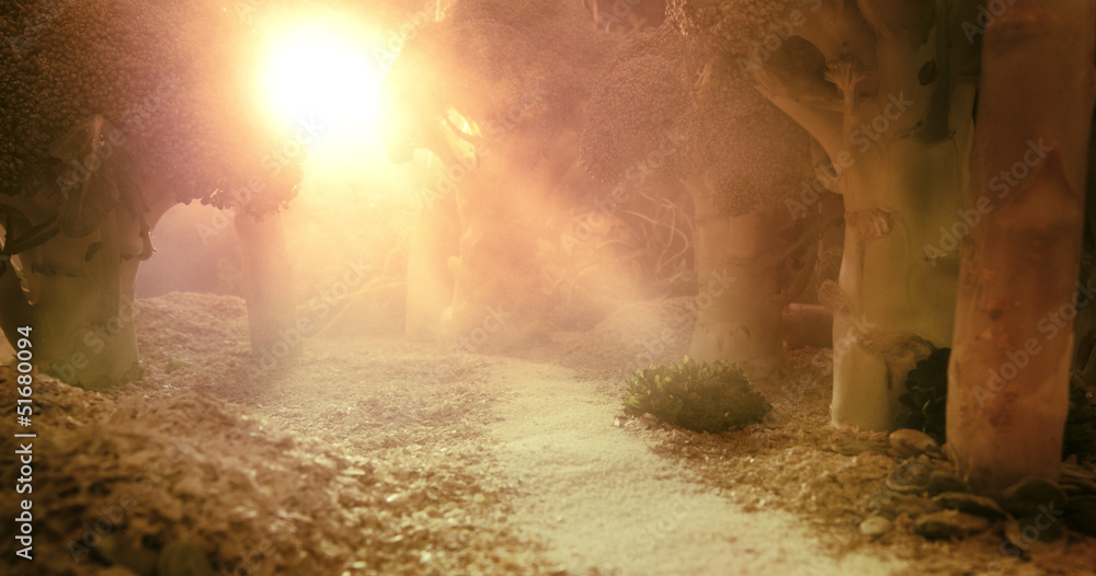 Fototapet Sunrise in the forest of food