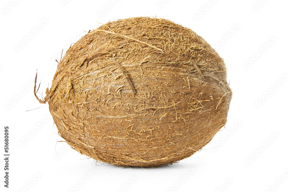 Coconut Coconut