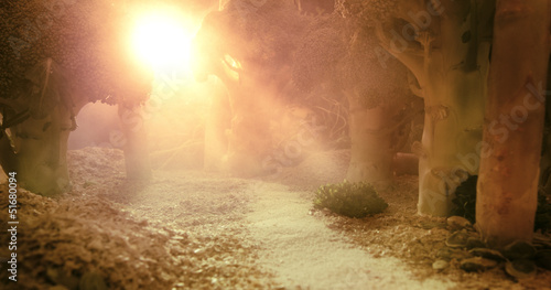 Fototapet Sunrise in the forest of food