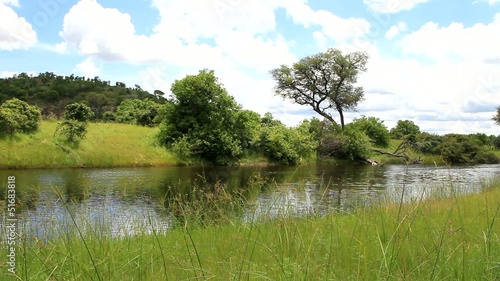 Natur pur - idyllischer Fluss