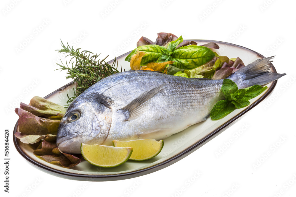 Fresh raw dorada Fresh raw dorada