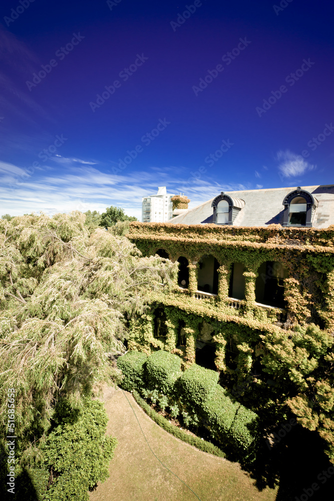 Beautiful castle covered with trees and foliages