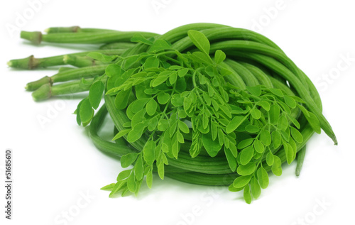 Moringa Oleifera or sonjna with fresh leaves photo