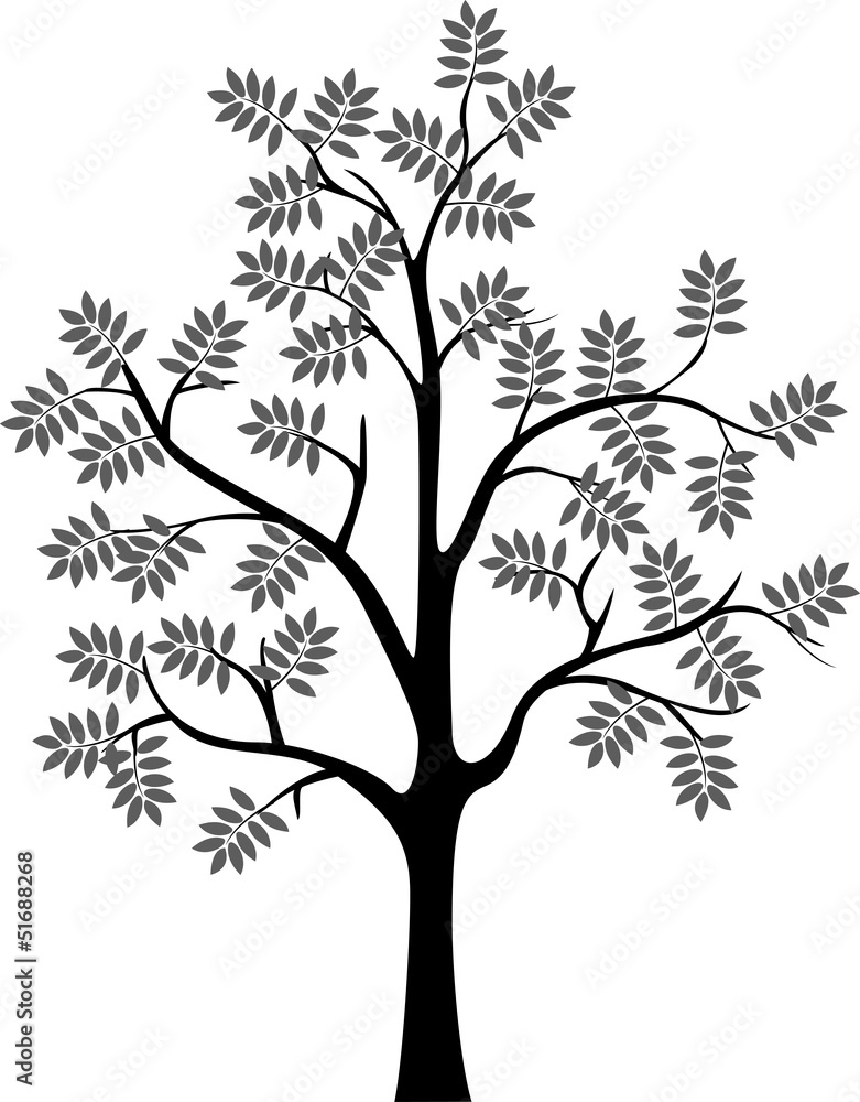 tree silhouette for you design