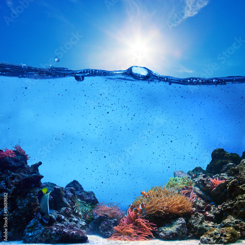 Underwater scene. Coral reef, clean water, blue sunny sky