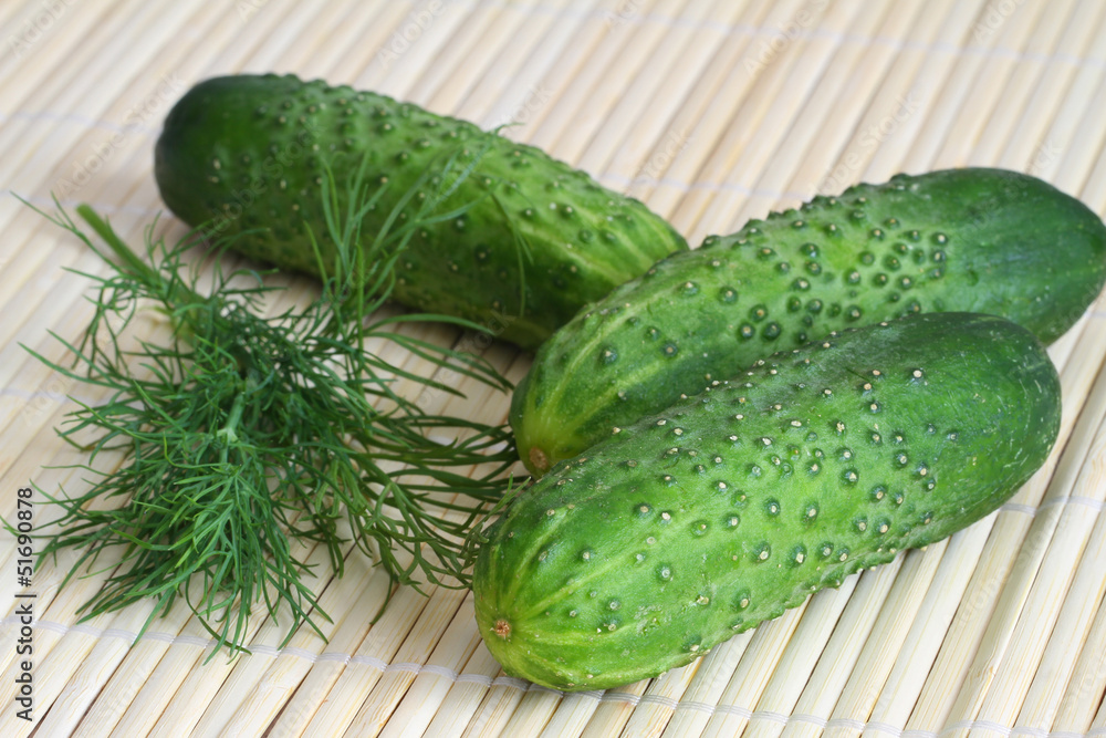 Fresh cucumbers and dill on bamboo mat, close up Fresh cucumbers and dill on bamboo mat, close up