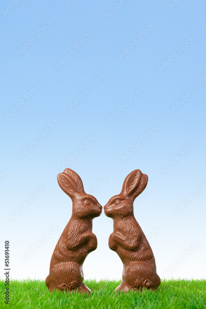Fototapeta premium Easter Bunny Love
