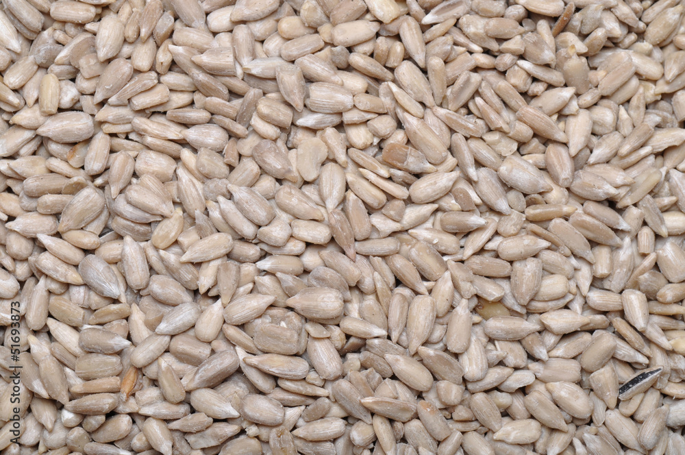 Sunflower seeds